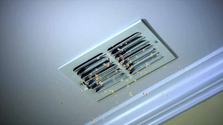 Best Affordable Duct Cleaning Services  in Waimea, HI