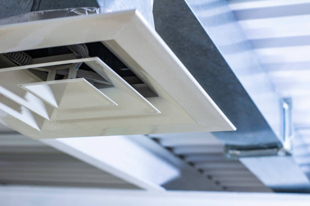 Best Affordable Air Duct Cleaning  in Waimea, HI