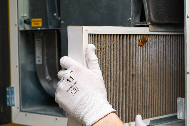 Best HVAC Maintenance and Cleaning  in Waimea, HI