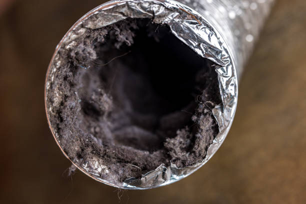 Best HVAC Maintenance and Cleaning  in Waimea, HI
