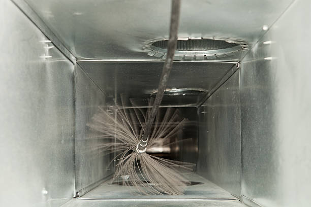 Best Professional Duct Cleaning Services  in Waimea, HI