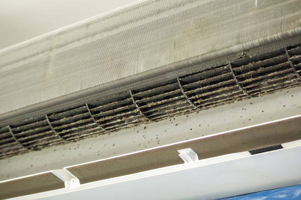 Best Air Duct Cleaning Near Me  in Waimea, HI
