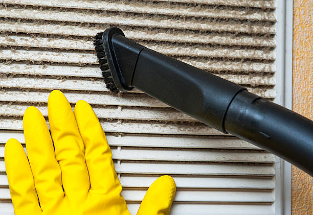 Best Local Air Duct Cleaning Services  in Waimea, HI